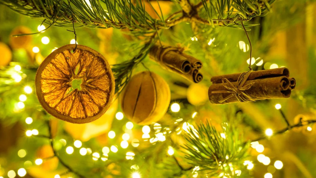 Sustainable Holiday Season: Celebrate with Care - La Moda Me