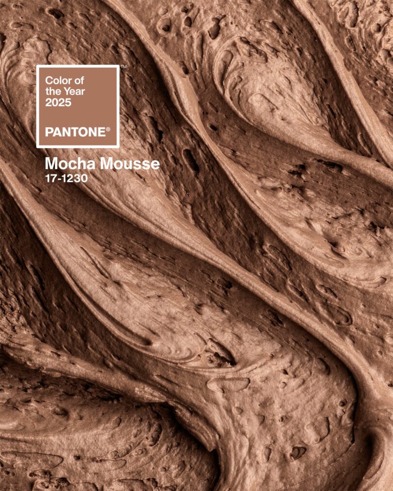 Pantone and the 2025 Color of the Year - La Moda Me