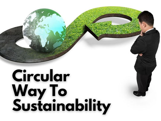 Sustainable Consumerism: The Rise of Circular Economy Startups - La Moda Me